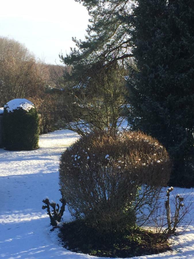 La Ferme Des Ruelles Panzió Moigny Kültér fotó